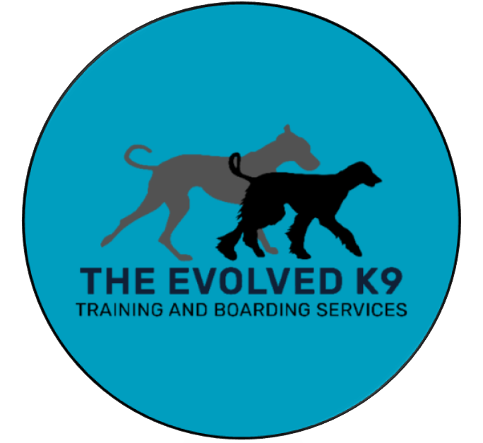 The Evolved K9 Logo