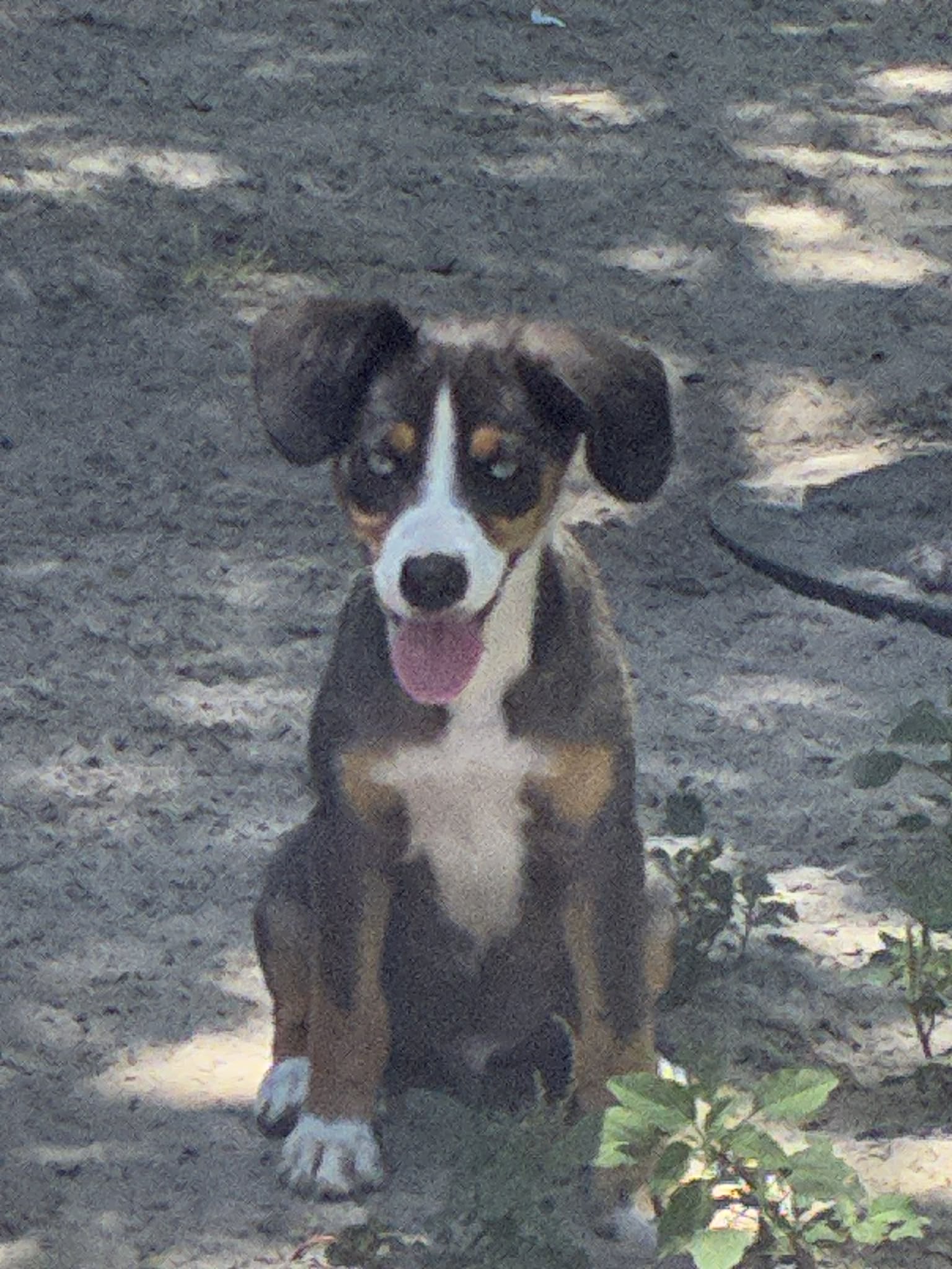 Photo of Graham