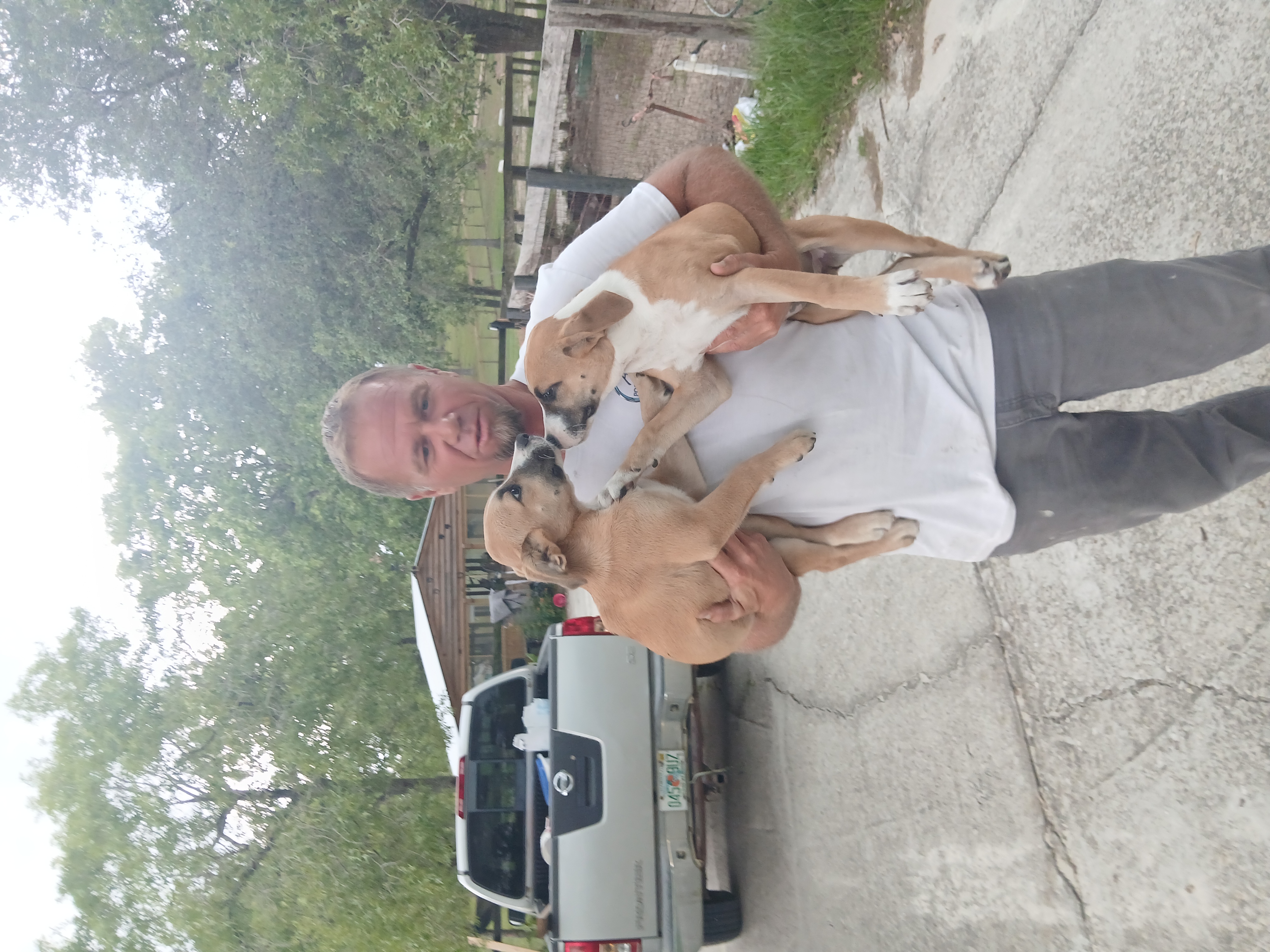 Photo of Dream and Lucky