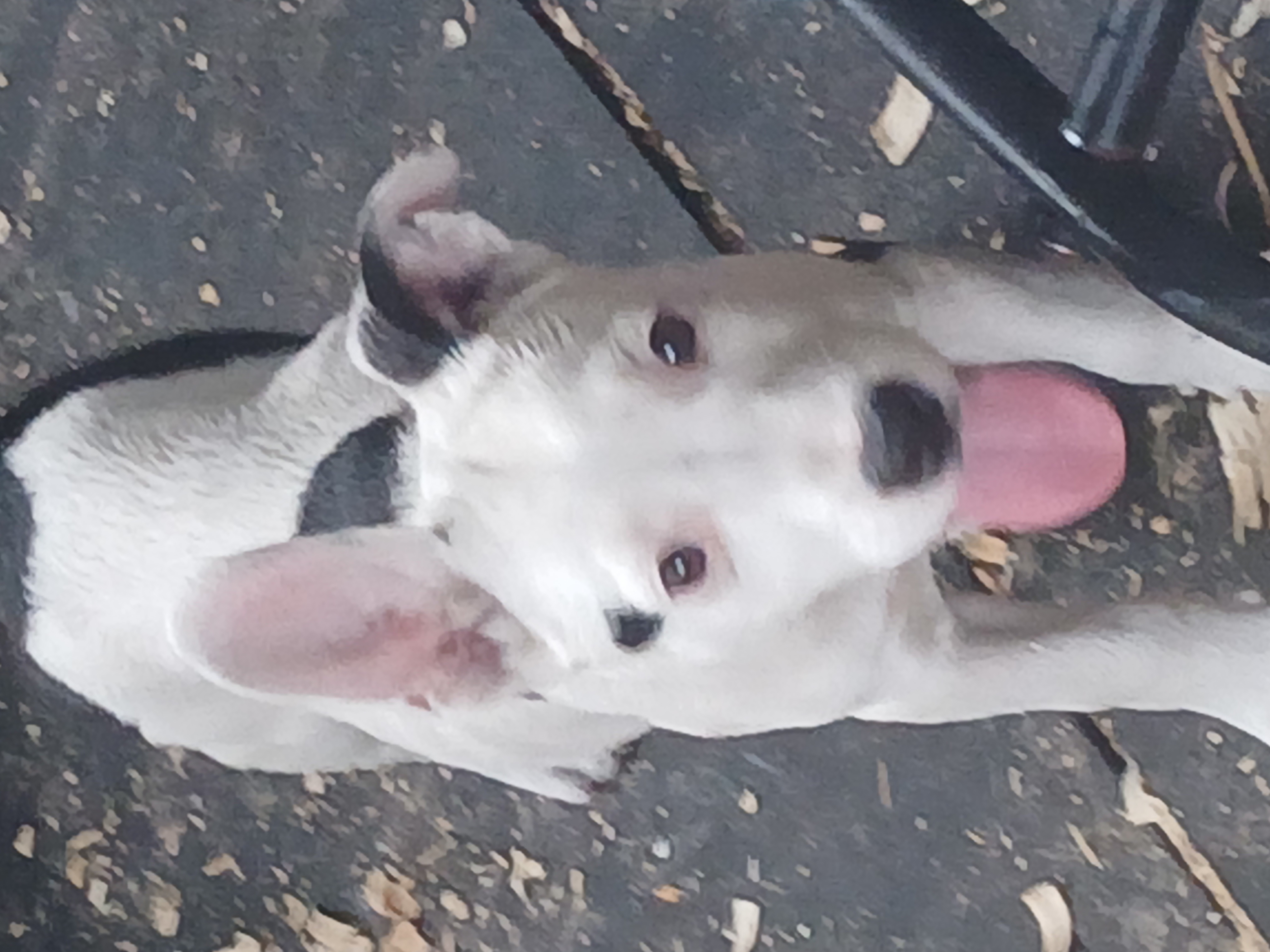 Photo of Blessing