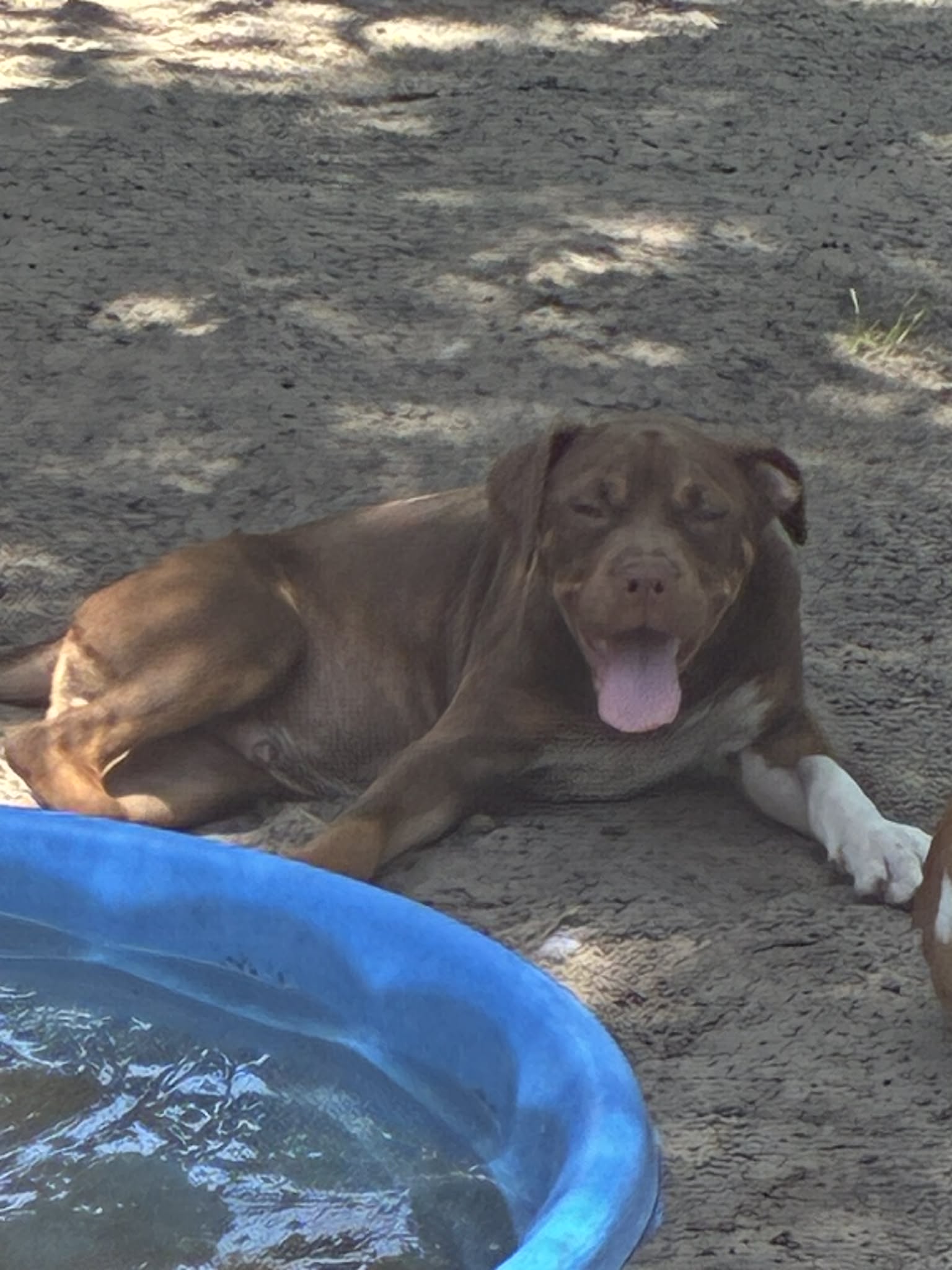 Photo of Darla